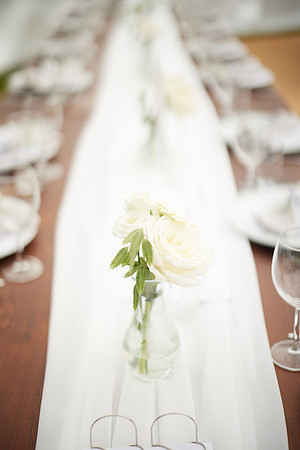 1X7A1142